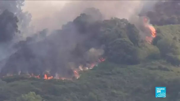 Violent incendie sur l'île de Grande Canarie, 5 000 personnes évacuées