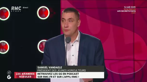 "On se bat pour 3 centimes d'augmentation sur le lait et 1 centime pour les oeufs... C'est immonde"