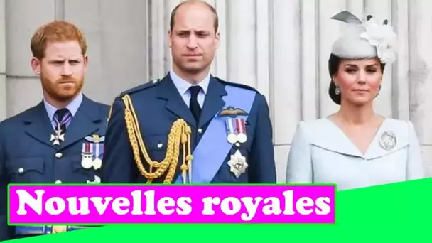 « Frustré » Le prince Harry a riposté au palais se concentrant sur Cambridges « Pourquoi ne puis-je