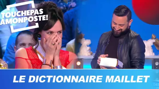 Cyril Hanouna ouvre un dictionnaire pour comprendre Géraldine Maillet