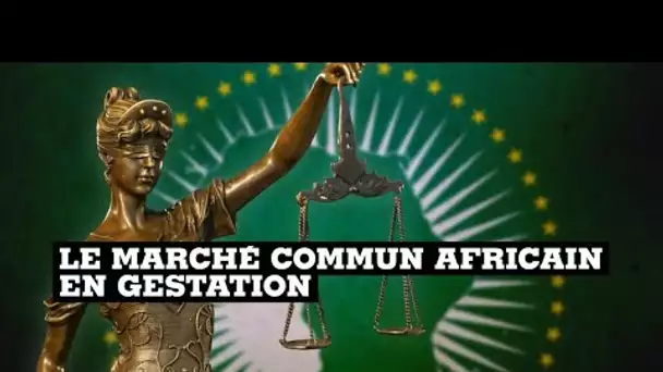 La "Zlec" revigorée par l'adhésion du Nigeria