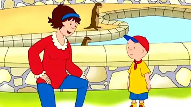 Caillou et la Visite au Zoo | Caillou | Dessins animés pour enfants | WildBrain pour les enfants