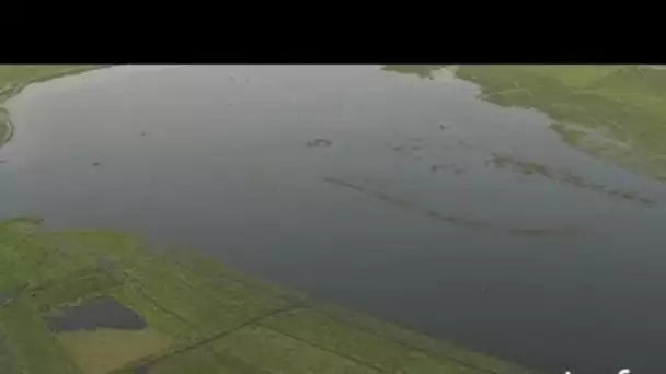 Mali : village traditionnel du delta intérieur du Niger