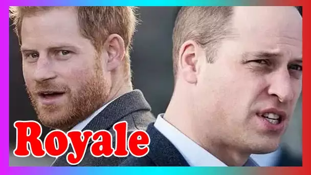 Prince William v Prince Harry-la solution pour m3ttre fin à la querelle devra venir du duc de Sussex