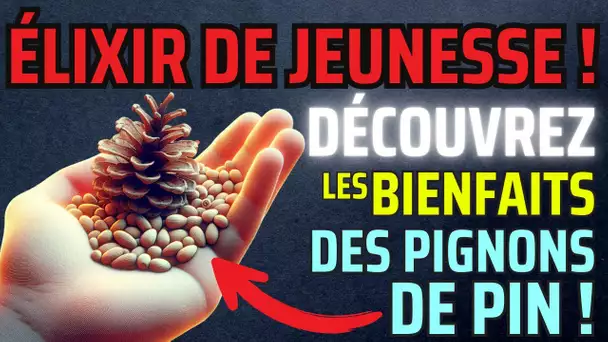 🌟 Découvrez les 8 Bienfaits Surprenants des Pignons de Pin pour le Cerveau !