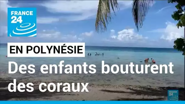 Préservation des océans : en Polynésie, des enfants bouturent des coraux • FRANCE 24