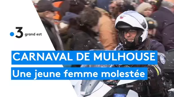 Mulhouse : une jeune femme molestée au carnaval de Mulhouse