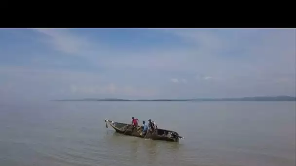 Pollution massive du Lac Victoria : le plus grand lac d'Afrique se meurt • FRANCE 24