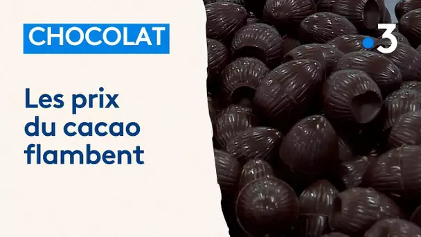 Chocolat : hausse importante des prix des matières premières