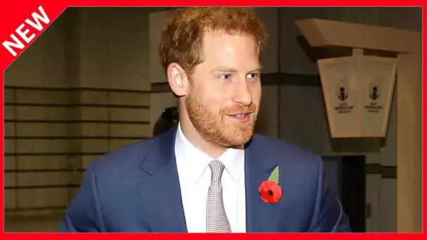 ✅  Prince Harry : cette interdiction très symbolique qu'il est prêt à soutenir