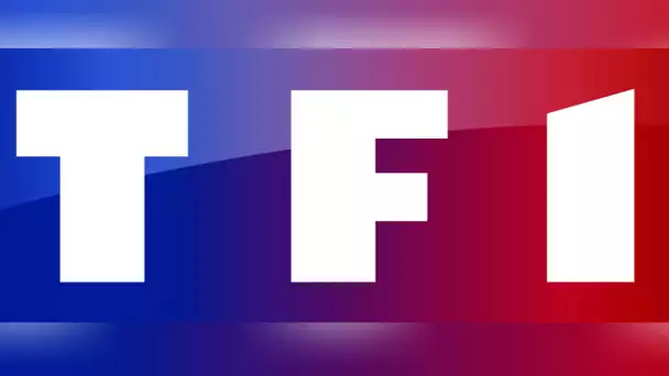 TF1 qui travaille sur le retour d’une série culte et un prix attribué au film le plus éco-respons…