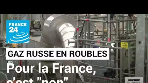 Gaz russe vendu en roubles : la France et l'Allemagne se préparent à un arrêt des livraisons