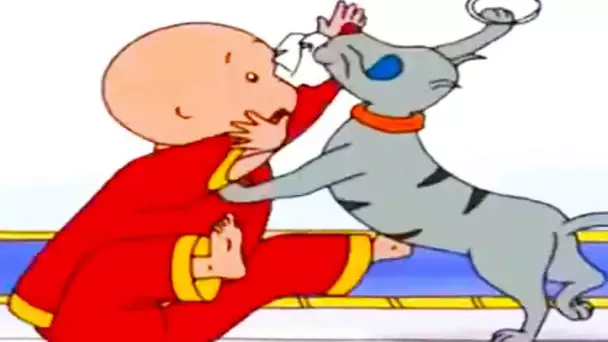 Caillou en français | Caillou et le karaté | COMPILATION DE 4 HEURES | dessin animé