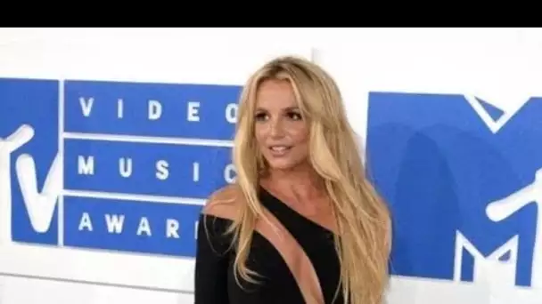 Britney Spears : après ses seins, voilà qu’elle montre ses parties intimes…