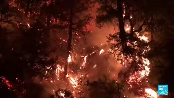 La côte ouest des Etats-Unis ravagée par l'incendie Dixie • FRANCE 24