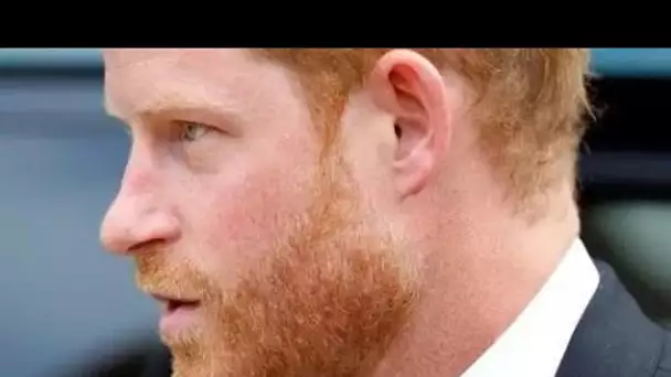 Le titre des mémoires du prince Harry "Spare" salué comme "emblématique"