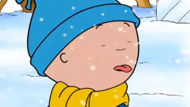 Caillou et les Flocons de Neige | Caillou en Français