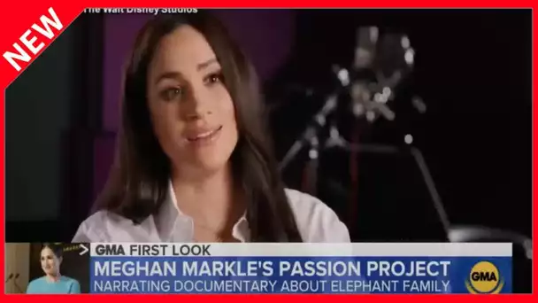 ✅  Meghan Markle : cette attitude qui en dit long sur ce qu'elle pense de la famille royale