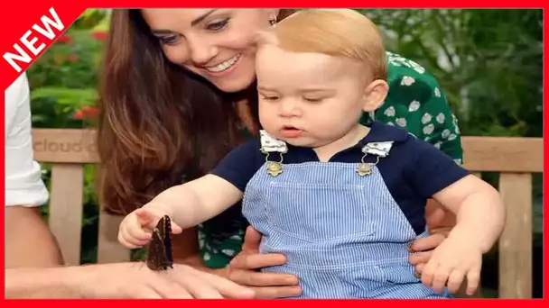 ✅  Le prince Louis, bientôt 2 ans, a une nouvelle passion, selon sa mère Kate Middleton