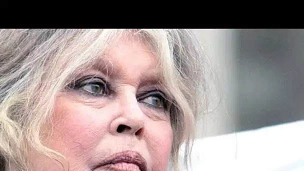 Brigitte Bardot : Excédée, elle pousse un coup de gueule contre le gouvernement !