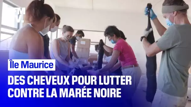 Île Maurice: l'appel à collecter des cheveux pour combattre la marée noire