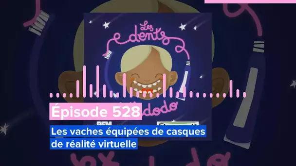 Les dents et dodo - Épisode 528 : Les vaches équipées de casques de réalité virtuelle