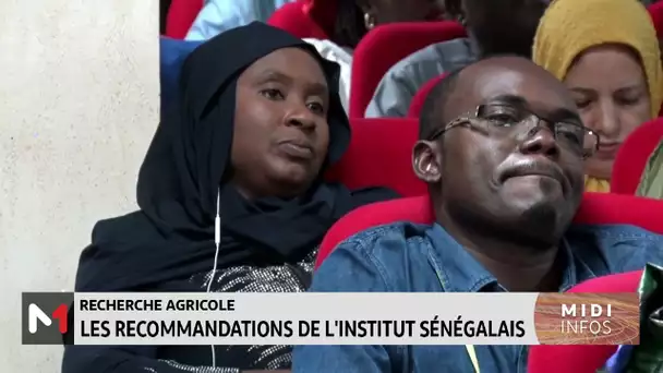 Recherche agricole : les recommandations de l´Institut sénégalais