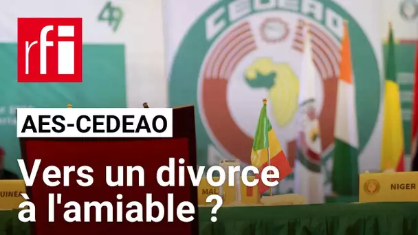 Alliance des États du Sahel : «On s'oriente plutôt vers un divorce à l'amiable» avec la Cédéao • RFI