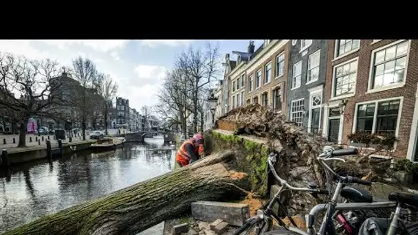 Tempête Eunice : plusieurs morts et d'importants dégâts matériels dans le nord de l'Europe