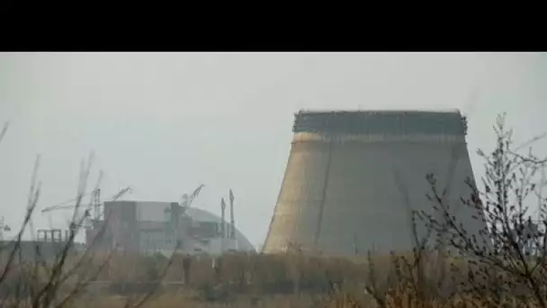 35 ans après, dans la zone d'exclusion de Tchernobyl