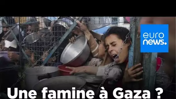 Une famine est-elle en cours à Gaza ?