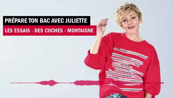 Les Essais - Des coches - Montaigne - Prépare ton bac avec Juliette