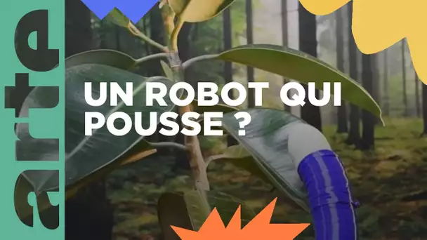 Filobot, entre plante et robot | ARTE Family