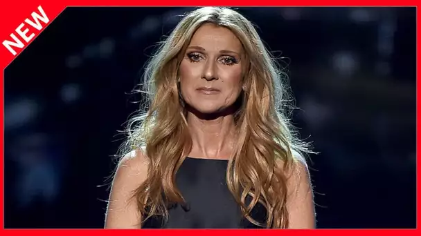 ✅  Céline Dion : ce projet immobilier au Québec qui fait polémique