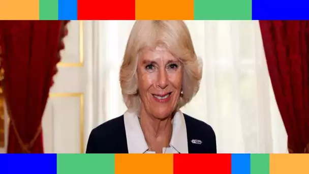 Elizabeth II malade  Camilla Parker Bowles appelée en renfort pour supplanter Harry et Andrew