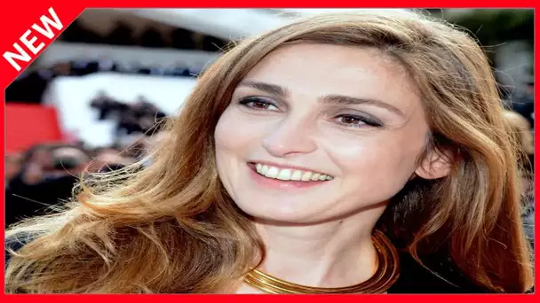 ✅  Julie Gayet : ce breuvage qu'elle s'est autorisée durant ses grossesses… « Bon pour la lactation