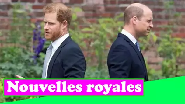 Harry et William «à 1 000 kilomètres l'un de l'autre» et «ont besoin de vulnérabilité pour guérir» –