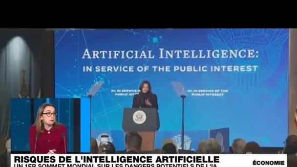 Intelligence artificielle : Une première déclaration mondiale sur les risques de l'IA • FRANCE 24