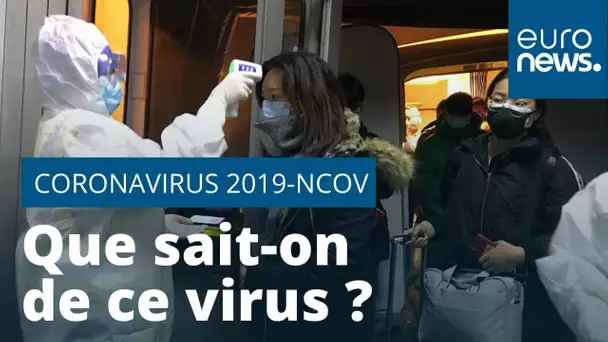 Que sait-on du nouveau coronavirus en Chine ?