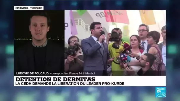 Turquie : la CEDH demande la libération du leader pro-kurde, Selahattin Demirtas