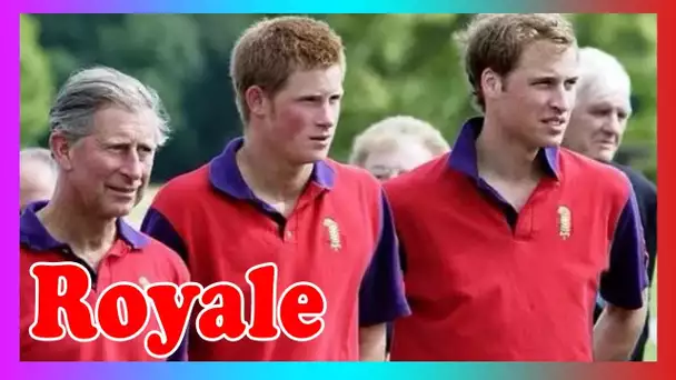 Le chagrin de William et Harry à la mort de l3ur tuteur de polo pionnier