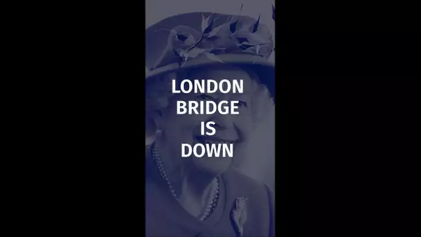 "London Bridge is Down" : voici le protocole en cas de décès de la Reine d'Angleterre #shorts #queen