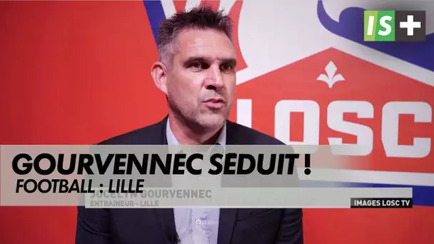 Gourvennec séduit par le LOSC