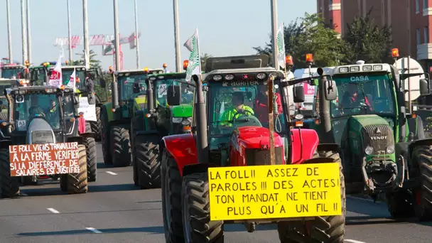 Colère des agriculteurs :  «Les paysans ne vivent pas de leur travail, ne dégagent pas un salaire…