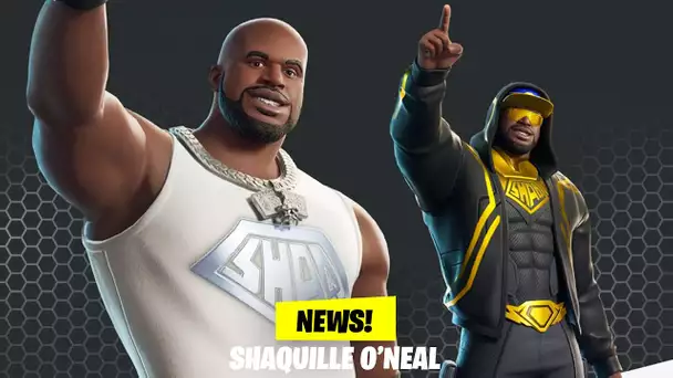 LE SKIN SHAQUILLE O'NEAL SUR FORTNITE ! (+100 PERSONNALISATIONS POSSIBLE)