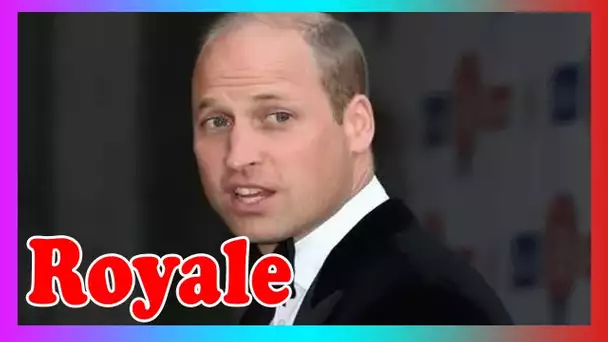 Le prince William qualifié de «simpliste, r@ciste et déconnecté» lors d'une attaque extraordinaire