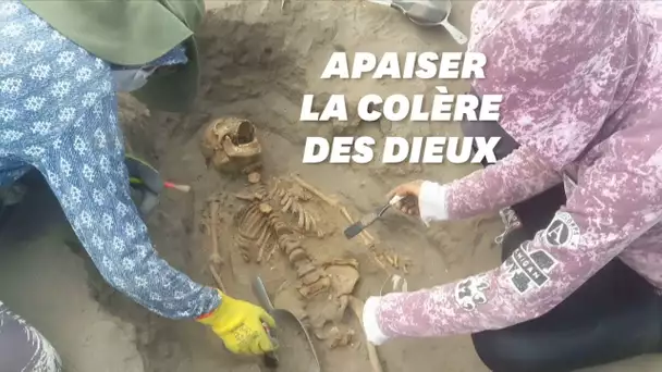 Au Pérou, le plus grand site de sacrifice rituel d'enfants déterré