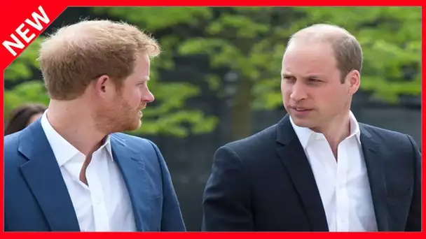 ✅  William et Harry séparés lors des obsèques de Philip : le choix lourd de conséquence de la reine