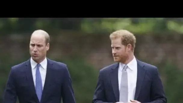 « Qu'elle soit encore avec nous » : les mots déchirants d'Harry et William lors...