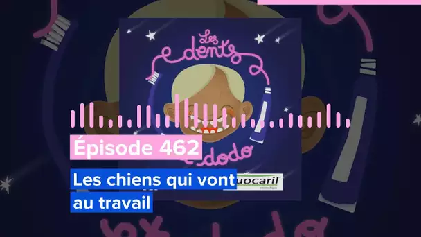 Les dents et dodo - Épisode 462 : Les chiens qui vont au travail